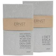 ERNST Ernst karklud 2-pak grå