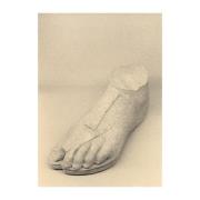 Paper Collective The Foot plakat 50x70 cm