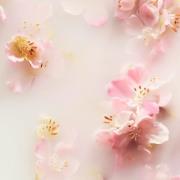Rituals The Ritual of Sakura Floral Cherry Blossom & Rice Milk Hand Wa...