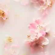 Rituals The Ritual of Sakura Floral Cherry Blossom and Rice Milk Sakur...
