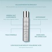 Institut Esthederm Cellular Water Mist 100 ml