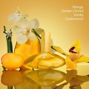 Calvin Klein Euphoria Solar Elixir Parfum Intense  100ml