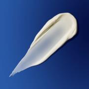 Augustinus Bader The Solar Shield