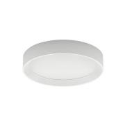 Tara R LED-loftlampe, rund, Ø 31 cm