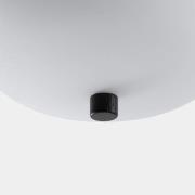 LEDS-C4 Ilargi Phase LED-hængelampe, mørk, Ø 24 cm