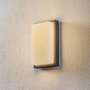 Babett udendørs LED-væglampe, rustfrit stål, glas, sensor