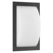 Ivett udendørs LED-væglampe, grafit, bevægelsessensor