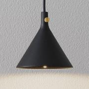 Audo Cast LED-hængelampe i sort, Shape 1