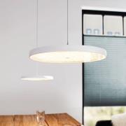 OLIGO Decent Max LED-hængelampe, mat hvid
