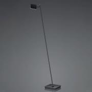 Tim LED-gulvlampe, CCT, sort