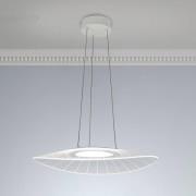 LED-pendel Vela, hvid, oval, 59 cm x 43 cm