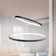 Circle LED-pendel, antracit, version med to lys