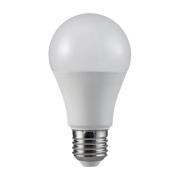 Müller Licht LED-pære E27 12 W 4.000 K, mat