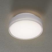 Hatton LED-loftlampe, IP65, 25 cm