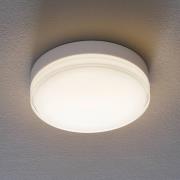 Bega 12128 LED-loftlampe DALI 930 hvid 26 cm
