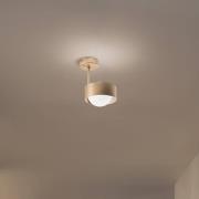 Loftlampe Mado, opalglas/messing, 1 lyskilde