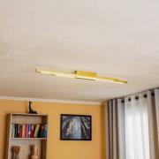 Quitani Talon LED-loftlampe 2 lyskilder messing anodiseret