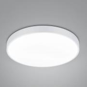 LED-loftslampe Waco, CCT, Ø 49,5 cm, mat hvid