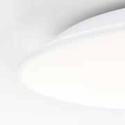 Colden LED-badeværelsesloftlampe, hvid, tænd/sluk, Ø 29 cm