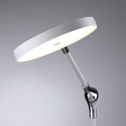 Paulmann Numis LED-bordlampe ladefunktion, hvid