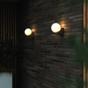 Hayley udendørs væglampe med glaskugle, brun