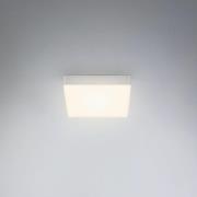 Flame LED-loftslampe, 15,7 x 15,7 cm, sølv