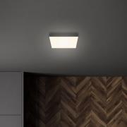 Flame LED-loftslampe, 21,2 x 21,2 cm, sort