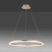 Titus LED-hængelampe, rund, Ø 80cm, mat messing