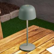 Lindby LED-bordlampe Arietty, grøn, dæmpbar, IP54
