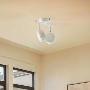 Lindby spotlight Jyla, hvid, 4.000 K, 2-lys, GX53