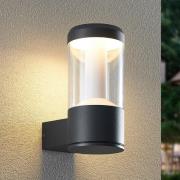 Arcchio Dakari udendørs LED-væglampe, intelligent