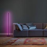 LEDVANCE SMART+ WiFi Floor rund gulvlampe sort