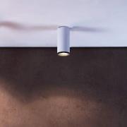 LED-downlight til overflademontering Lucea 10 W hvid