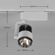 LED-spot Radiator DUOline, CCT, titanium