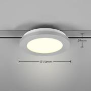 LED-loftslampe Camillus DUOline, Ø 17 cm, titanium