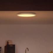 Philips Hue White&Color Surimu panel hvid Ø 39,5cm