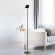 JUST LIGHT. Euria LED-gulvlampe, sort, jern, IP54