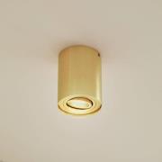 Arcchio loftspot Jolina, rund, guld, 13 cm, metal