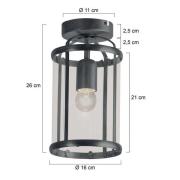 Pimpernel loftlampe, sort, metal, glas