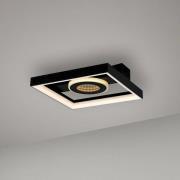 Paul Neuhaus LED-loftlampe Traforo, 25 cm, CCT, dæmpbar