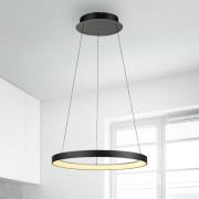 Paul Neuhaus LED-hængelampe Hoop, sort, Ø 57 cm, dæmpbar