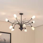Loftlampe Gloriosa, glas, sort, 10 lyskilder