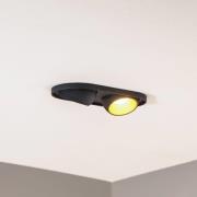 Bega LED indbygningsspot Studio Line, sort/messing, 2 lyskilder.