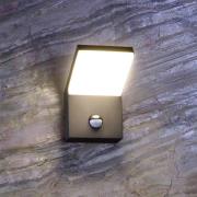 Udendørs LED-væglampe med sensor Tucanae, grå, højde 22 cm, IP54