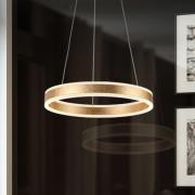 Helia LED-hængelampe, guldfarvet, Ø 50 cm, metal