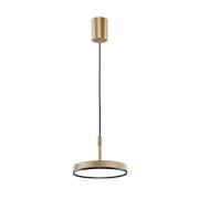 LED-pendellampe Don, guldfarvet, Ø 20 cm, metal