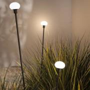 Karman LED-gadelampe MINUIT, højde 210 cm, sort, IP65