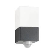 Udendørs væglampe Linus, grafit, Sensor, stål, glas, E27