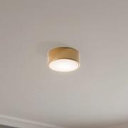 Cleo 200 loftlampe, guld, sensor, IP20, Ø 20 cm, E27