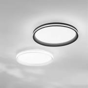 LED-loftlampe Isy, sort, Ø 45 cm, metal, CCT, dæmpbar
